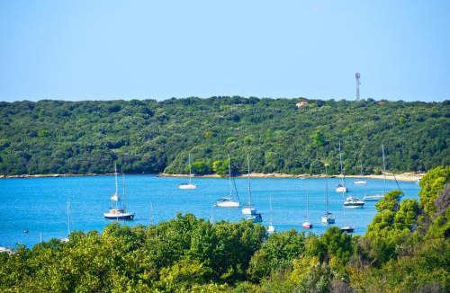 Banjole Apartment | Apartment Villa Mare3 with pool, sea view and hydromassage