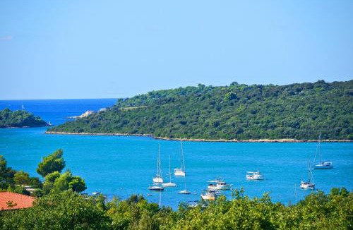 Banjole Apartment | Apartment Villa Mare3 with pool, sea view and hydromassage