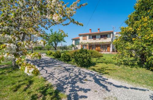 Filipana Apartment | Apartment with Terrace in Filipana