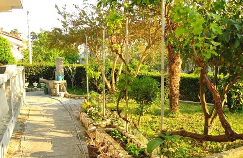 Palit Apartment | Apartments Ana, (14569), Palit, hr