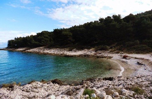 Donje Selo Apartment | Apartments by the sea Cove Donja Kruscica - Donja Krusica, Solta - 15636