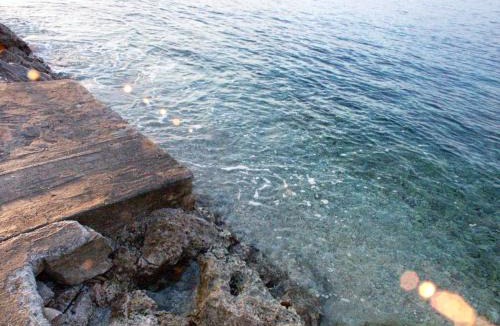 Maslinica Apartment | Apartments by the sea Maslinica, Solta - 774