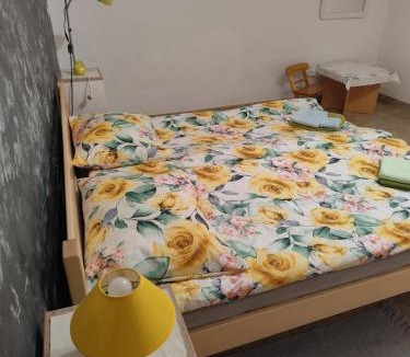 Ogulin Apartment | Apartments for families with children Hreljin Ogulinski, Gorski kotar - 24798
