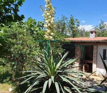 Seline Apartment | Apartments with parking space Seline, Paklenica - 17390