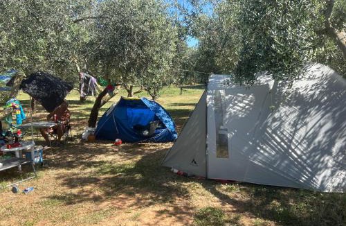 Banjole Other | Camping Volme Tent