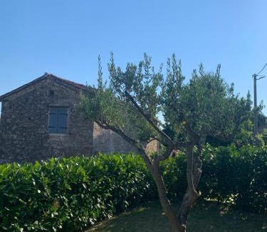 Buzet Apartment | Casa Miro