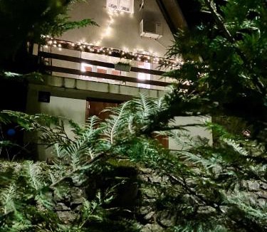 Lic Ski Chalet | CASA MONTE