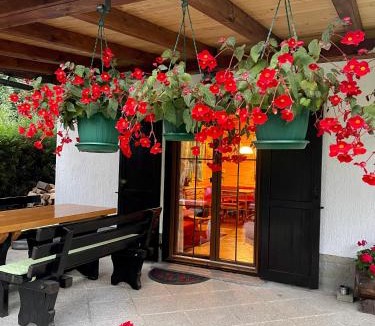 Lokve Ski Chalet | Chalet House Olga