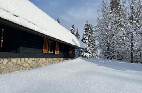 Delnice Ski Chalet | Chalet Mint