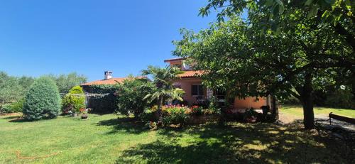 Vinkuran Apartment | Edensk vrt classic!i