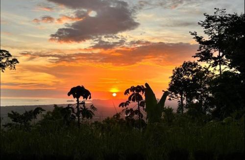 Portalon Apartment | Entire homestay accommodation in Savegre de Aguirre, Costa Rica