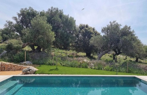 Jakisnica Villa | Experience Villa Kadila – Heated Pool & Sauna in a Timeless Olive Grove