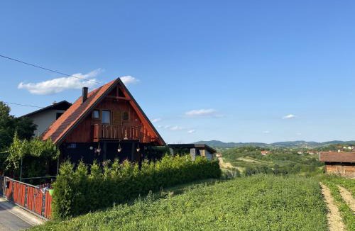 Gornja Stubica House | Family friendly house with a swimming pool Donja Stubica, Zagorje - 19236