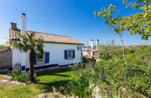 Vinez House | Family friendly house with a swimming pool Vinez, Labin - 22240