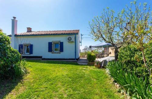 Vinez House | Family friendly house with a swimming pool Vinez, Labin - 22240
