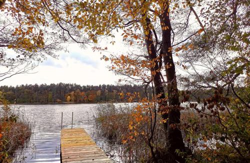 Schonberg House | Ferienhaus Seensucht - Natur am See & im Wald mit Kamin