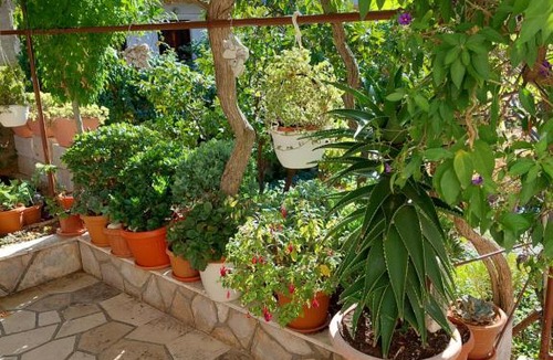Island Hvar Apartment | Flower App