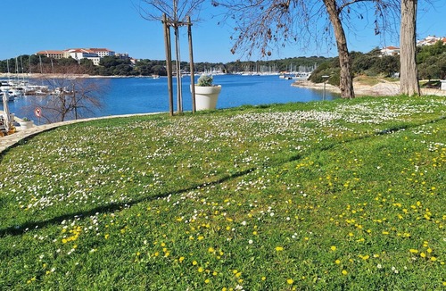 Pjescana Uvala Apartment | Geräumige charmante Wohnung in der Nähe des Meeres by Interhome