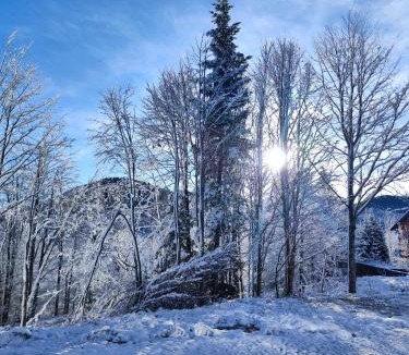 Ravna Gora House | Gorska Idila "Smreka" - a Modern House in Quiet Area with Wellness