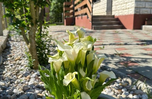 Tuheljske Toplice Apartment | Hižica Kanceljak