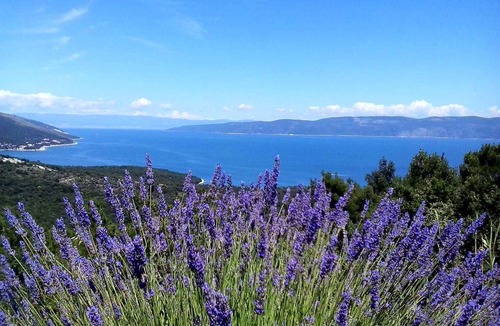 Sveta Marina Apartment | Holiday apartment With view to the sea