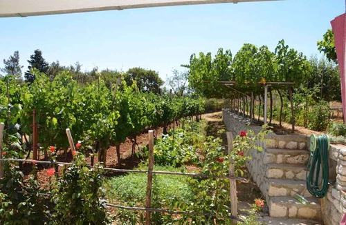 Sveta Marina Apartment | Holiday apartment With view to the sea