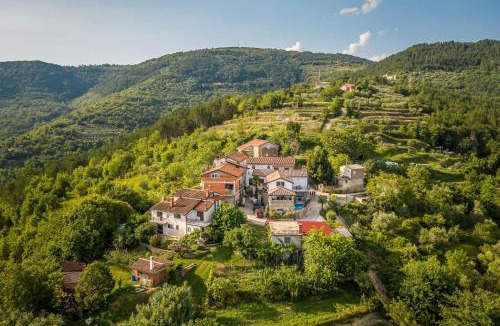 Golubici House | Holiday Home Belveder Motovun with heated pool