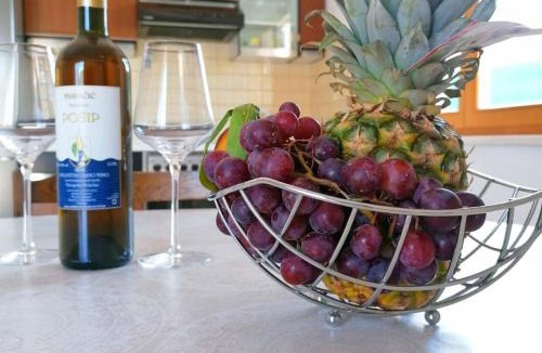 Putnikovic Apartment | Holiday Home Blue Dream - Two Bedroom Apartment with Terrace and Sea View A1