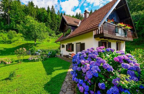 Brod na Kupi House | Holiday Home Božica by Interhome