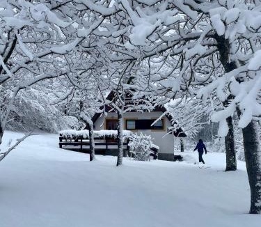 Lokve House | Holiday home Bozica
