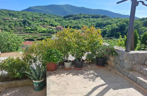 Zvecanje House | Holiday home