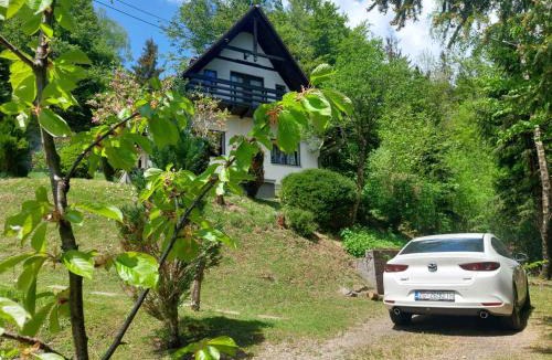 Lokve House | Holiday home in Delnice - Gorski Kotar 43959