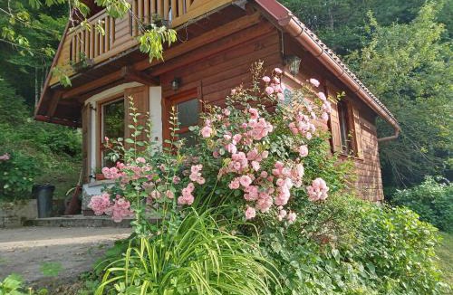 Brod na Kupi House | Holiday Home Vesna