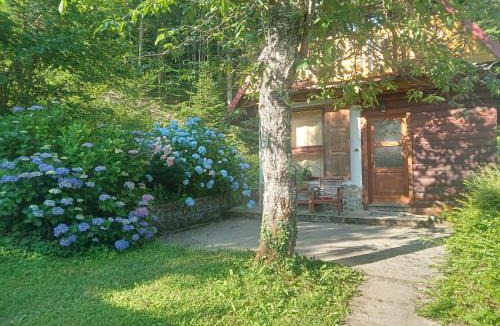 Brod na Kupi House | Holiday Home Vesna