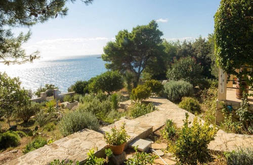 Donje Selo House | Holiday house Ani - 30 m from beach : - Maslinica, Island Solta, Croatia