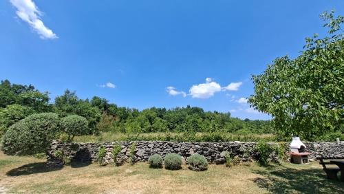 Buzet House | House Mlun