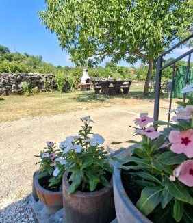 Buzet House | House Mlun