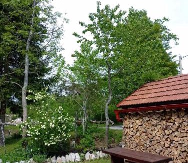 Delnice House | House Polane in the Forest, 45 km from Seaside
