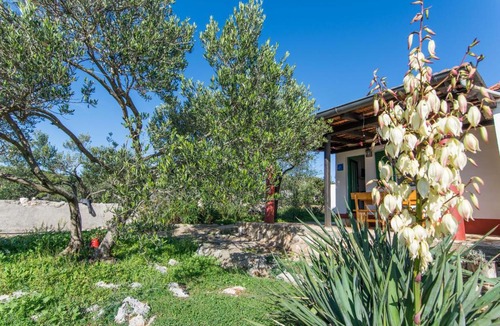 Kraj House | House Rosemary