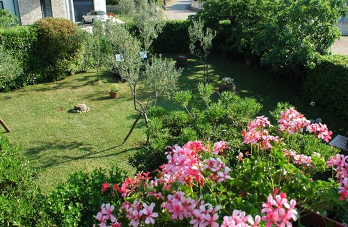 Milovcici Villa | House Villa Mare - Malinska
