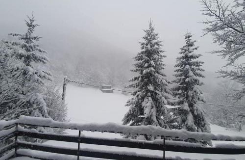 Platak Ski Chalet | Kuća za odmor Platak