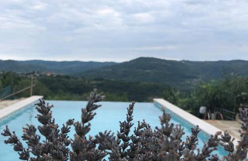 Sovinjska Brda Villa | Kuća Zanetta sa bazenom