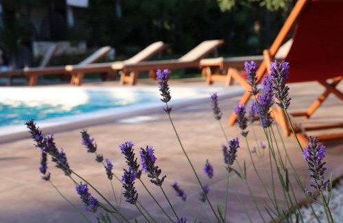 Manjadvorci House | Mobile Homes Dvor