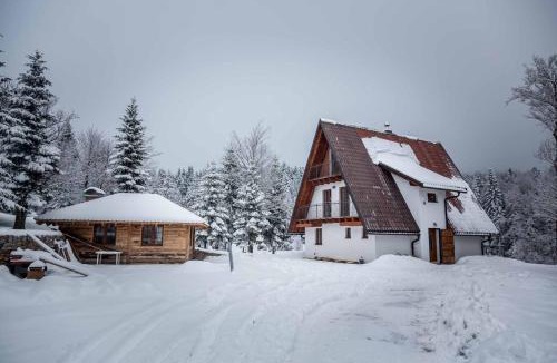 Ravna Gora Ski Chalet | Mountain house Beauty of Laz
