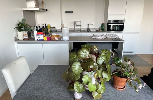 Northern Quarter Apartment | Nice accomodation close to atonium