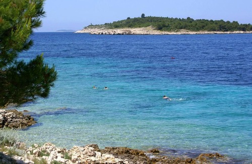 Primosten Burnji Apartment | One bedroom apartment with terrace and sea view Bilo (Primošten) (A-14601-a)