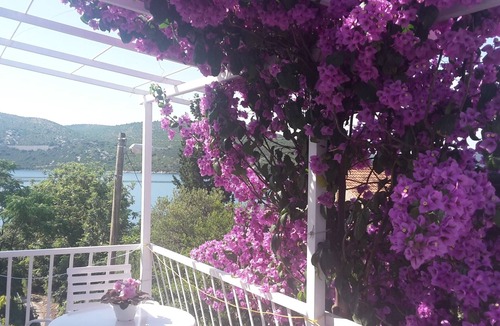 Slano Apartment | One bedroom apartment near beach Slano, Dubrovnik (A-8599-a)