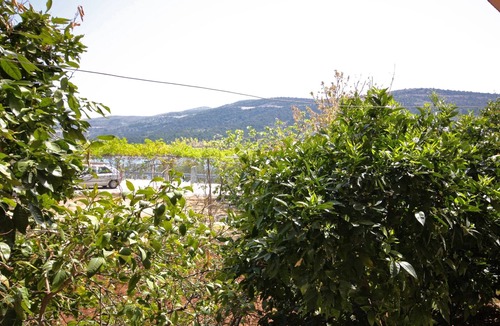 Marina Apartment | One bedroom apartment with terrace Marina, Trogir (A-6116-a)