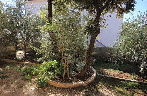 Mandre Apartment | One bedroom apartment with terrace and sea view Mandre (Pag) (A-9354-d)