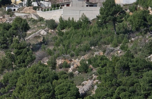 Tice Apartment | One bedroom apartment with terrace and sea view Nemira, Omiš (A-4834-a)